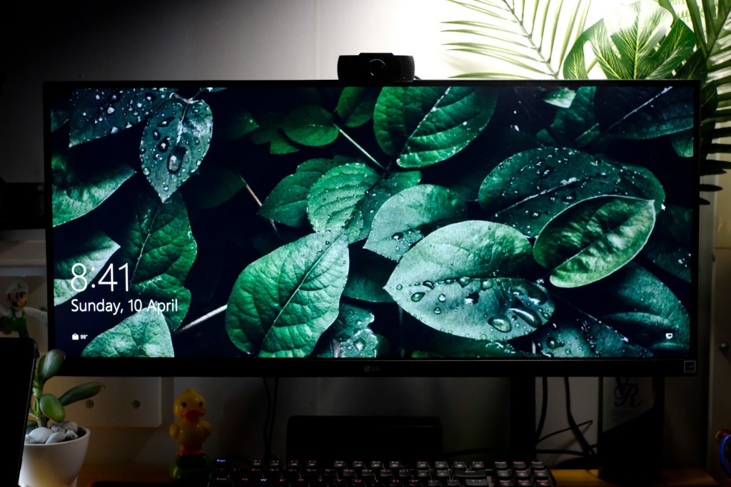 LG 29 ultrawide monitor