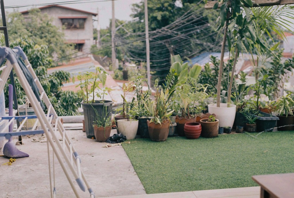 nikon f801 sample photo