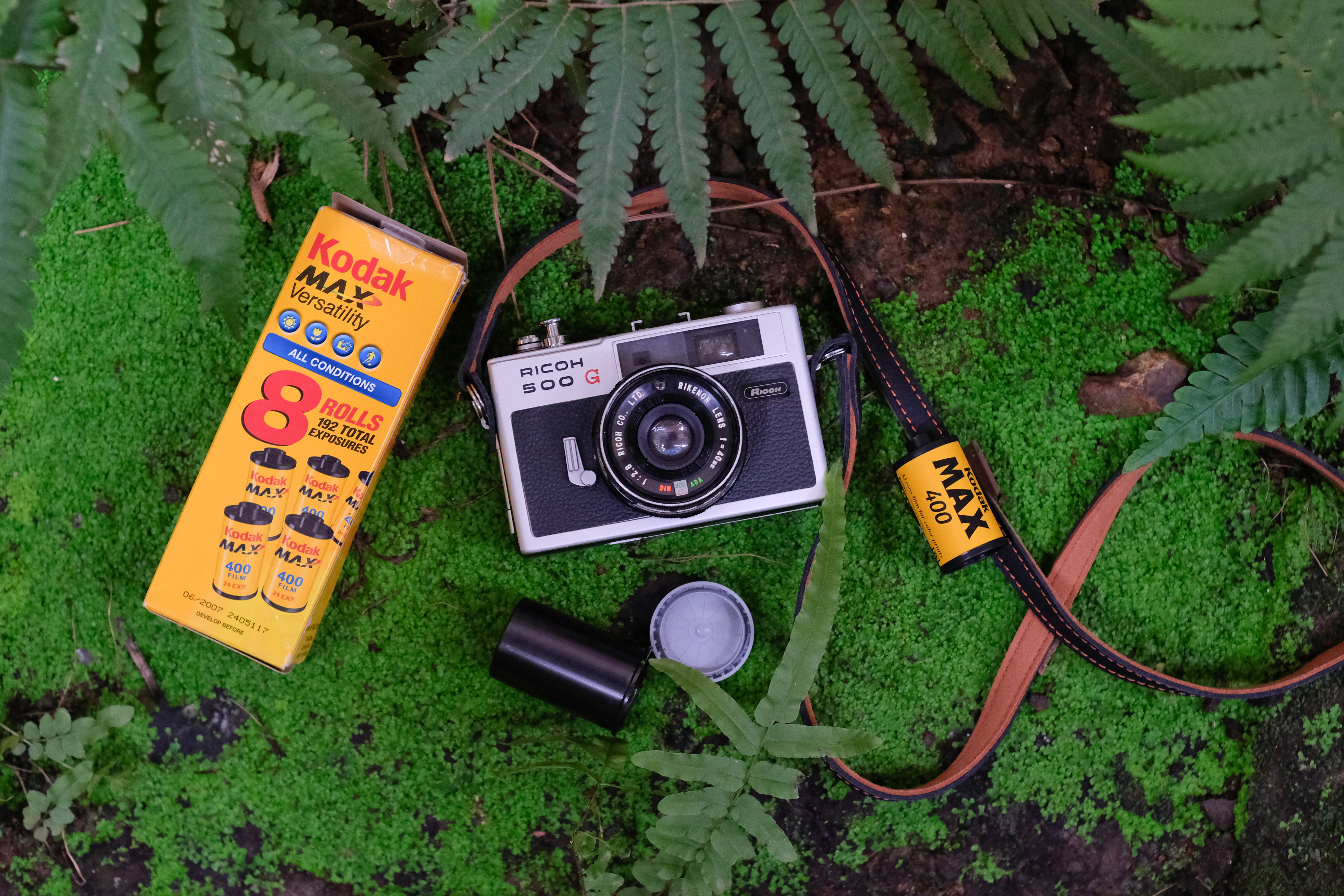 Shooting expired film – Ricoh 500G and Kodak Max 400 test roll – King