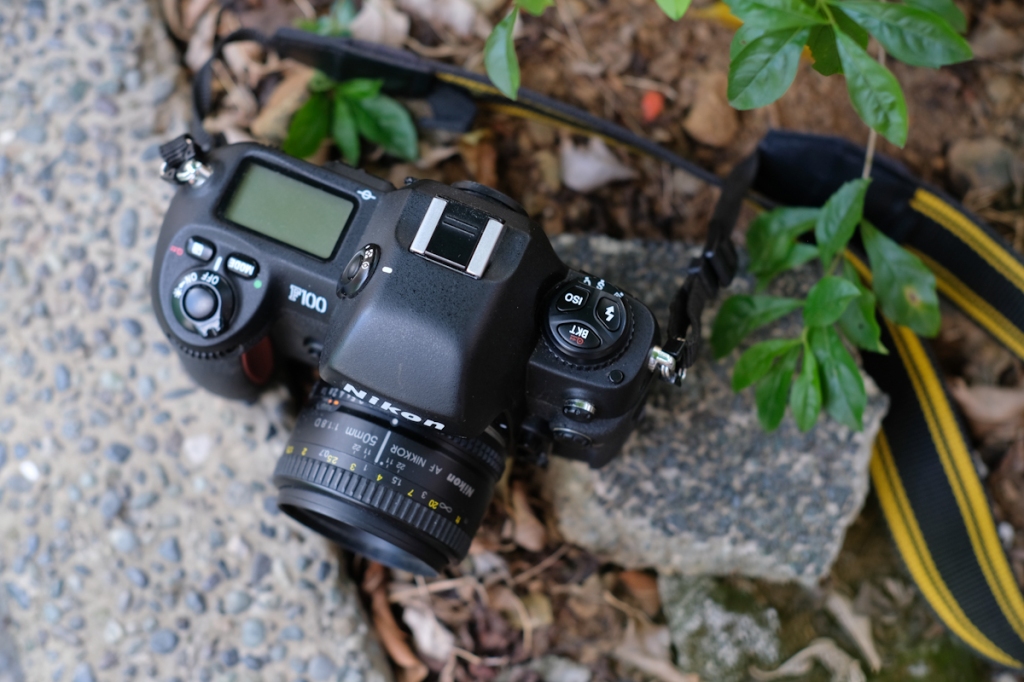 Nikon F100 film SLR