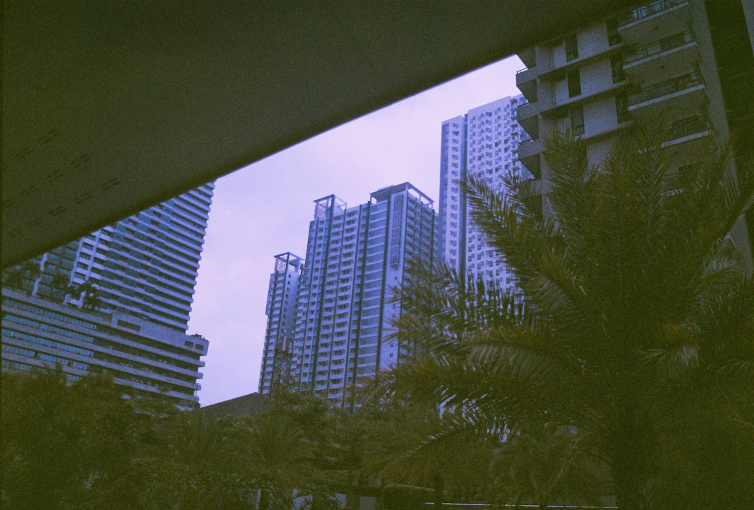 Pentax ZX-M film SLR – King